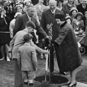 The Queen Plants a Tulip Tree Print, 25th May 1962