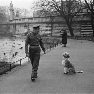 One of the Queens Guardsmen in a park with a dog, London, circa February 1948