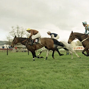 Racehorse Desert Orchid during the Cheltenham Gold Cup race 15th March 1990