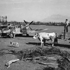 Print of RAF personnel and Italian peasants clearing an airfield near Naples Print of RAF personnel and Italian peasants clearing an airfield near Naples