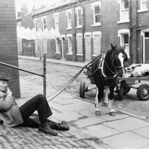 Un ramasseur de ferraille et son cheval et sa charrette sont vus ici prenant une pause du voyage. Un ramasseur de ferraille et son cheval et sa charrette sont vus ici prenant une pause du voyage.