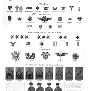 US Army Insignia Print, circa February 1942