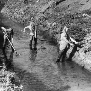 Recruits of the Womens Land Army prepare for ploughing at Hanley Brook