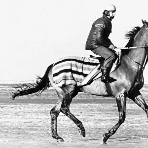 Red Rum pictured during his training gallop on Southport Beach limbering up for his