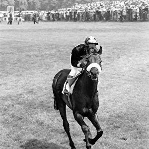 Mill Reef the wonder horse that earned over $300, 000 in prize money comes galloping home