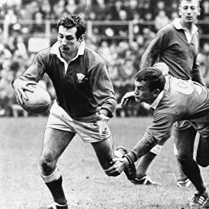 Referee Mike Titcomb watches as the Irish scrum-half Roger Young tries to catch Welsh