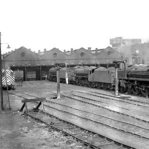 Some of the last remaining steam trains of British Rail stand outside Kingsmoor Some of the last remaining steam trains of British Rail stand outside Kingsmoor
