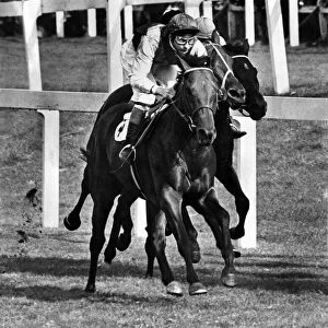 Ribocco (left) wins the 1967 St. Leger race at Doncaster. September 1967 P009661