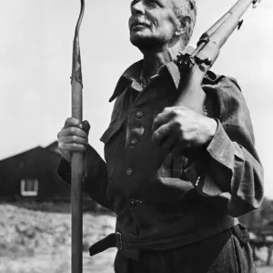 Rifles stand stacked ready while farmhands in the uniform Rifles stand stacked ready while farmhands in the uniform
