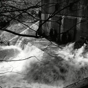 River Derwent pollution 15th June 1989 River Derwent pollution 15th June 1989
