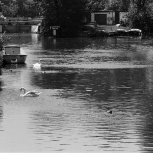 The River Kennet Print, Reading, Berkshire