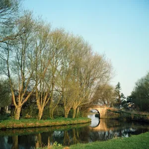 The River Thames at Radcot, Berkshire. 1973 The River Thames at Radcot, Berkshire. 1973