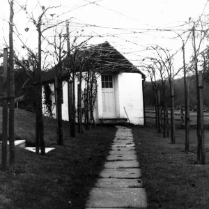 Roald Dahl writer author garden with pleached limes leads to the shed in the garden where
