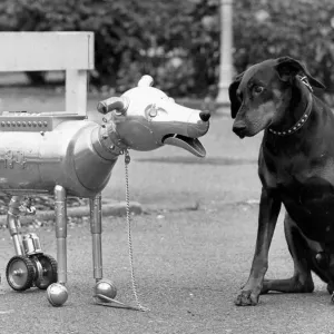Robot dog R4 meets Hitler the Real Doberman Dog with puzzling consequences Robot dog R4 meets Hitler the Real Doberman Dog with puzzling consequences
