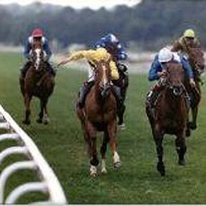 Rock Hopper right wins the Hardwicke Stakes beating Sapience (left