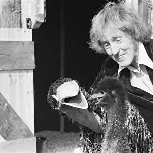 Rod Hull and emu seen here at Drusillas Zoo Park in East Sussex, to meet two baby emus