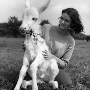 Roiney the donkey joins the flower set. Those so-called beautiful flower people people Roiney the donkey joins the flower set. Those so-called beautiful flower people people
