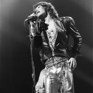The Rolling Stones at the Empire Stadium, Wembley. (Picture The Rolling Stones at the Empire Stadium, Wembley. (Picture