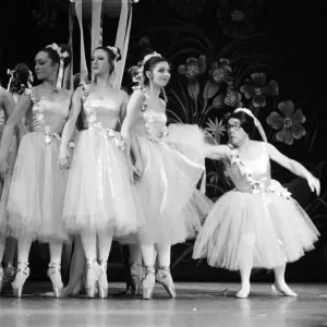 Ronnie Corbett in a scene as a ballet dancer at the London Palladium Ronnie Corbett in a scene as a ballet dancer at the London Palladium