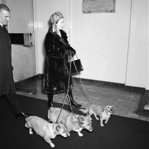 The Royal Family at Christmas and New Year. Picture shows Queen Elizabeth II The Royal Family at Christmas and New Year. Picture shows Queen Elizabeth II