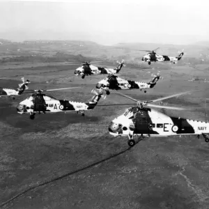 Westland Wessex MK5 Helicopters Print, May 1964 Westland Wessex MK5 Helicopters Print, May 1964