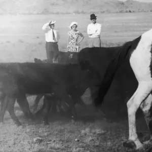 Royal Tour of Australia. The Queen and The Duke of Edinburgh watching stockmen round up Royal Tour of Australia. The Queen and The Duke of Edinburgh watching stockmen round up