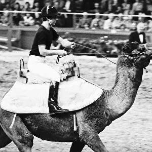 Royalty with Animals Prince Charles rides a Camel at London