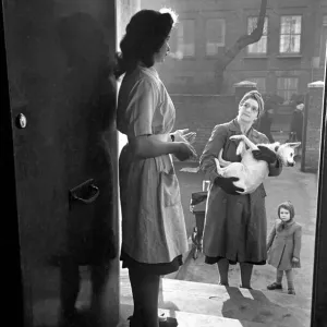 RSPCA Hospital. A woman and child carry their sick dog to the vets