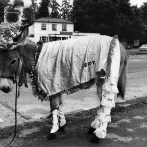 Ruffy the Donkey Print, July 1970 Ruffy the Donkey Print, July 1970