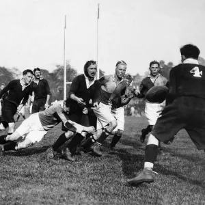 Rugby Union 1933 MSI Rugby Union 1933 MSI