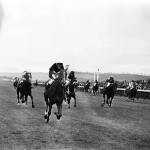 Runners and riders in the Daily Mirror Womens Race gallop the final furlongs to Runners and riders in the Daily Mirror Womens Race gallop the final furlongs to