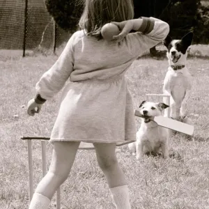 Russell the Jack Russell bats and Skinny bones is the wicket keeper