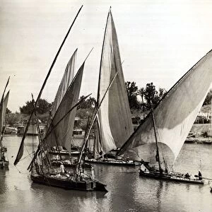 Sailing boats carrying goods and passengers along the River Nile. Circa 1910