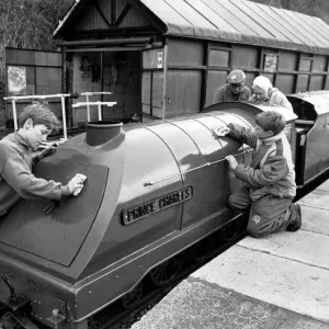 Saltburn Miniature Railway Print: Back on Track