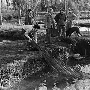 Sam Holland (centre) and trout famers breeding trout. 13th February 1976