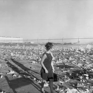 San Francisco airport after 1000 Beatles fans came to see them touch down for the start San Francisco airport after 1000 Beatles fans came to see them touch down for the start