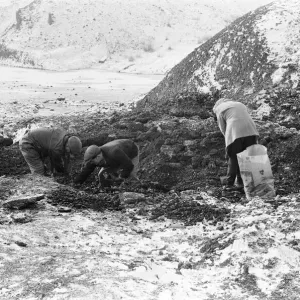 Scavenging for Coal, Hednesford, Staffordshire, Monday 31st January 1972