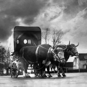 A scene on the Arterial Road to Southhend. The Atora'. December 1934 P000685