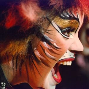 A scene from the musical Cats