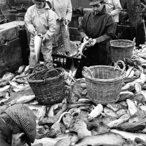 Scenes aboard Hull fishing trawler Ross Orion