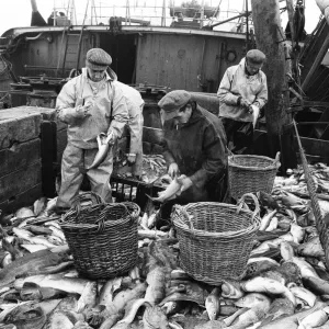 Scenes aboard Hull fishing trawler Ross Orion