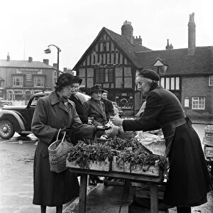Scenes in Stratford-upon-Avon, Warwickshire. April 1954