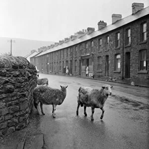 Scenes in Wattstown, South Wales. Located in the Rhondda Valley in the county borough of