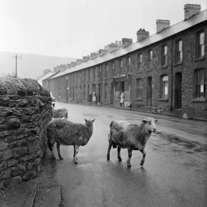 Scenes in Wattstown, South Wales. Located in the Rhondda Valley in the county borough of Scenes in Wattstown, South Wales. Located in the Rhondda Valley in the county borough of