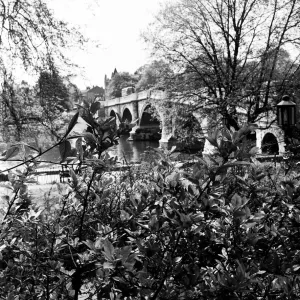 Scenic view of Richmond, along the River Thames, in south west London. 13th May 1954 Scenic view of Richmond, along the River Thames, in south west London. 13th May 1954