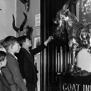 Schoolboys examine the Golden Goat at The Goat Inn, on Bottle Ban, Gateshead Schoolboys examine the Golden Goat at The Goat Inn, on Bottle Ban, Gateshead