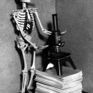 Schoolboys will soon be getting to know George, the skeleton, in biology lessons Schoolboys will soon be getting to know George, the skeleton, in biology lessons