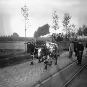 Belgian Refugees Fleeing German Army Print, Circa 1914