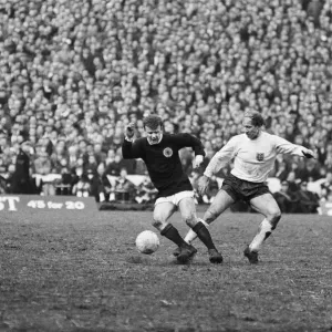 Scotland 1 v England 1. UEFA European Championship Group 8 match at Hampden Park Scotland 1 v England 1. UEFA European Championship Group 8 match at Hampden Park