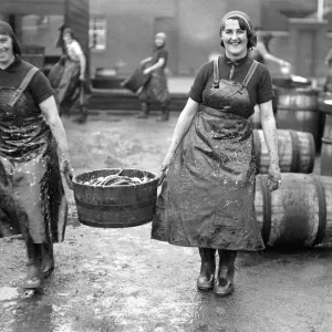 Niños de arenque escoceses en Great Yarmouth, Norfolk, circa 1936.